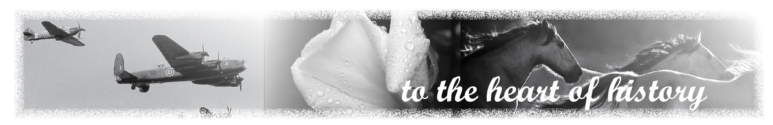 Heart of History Newsletter