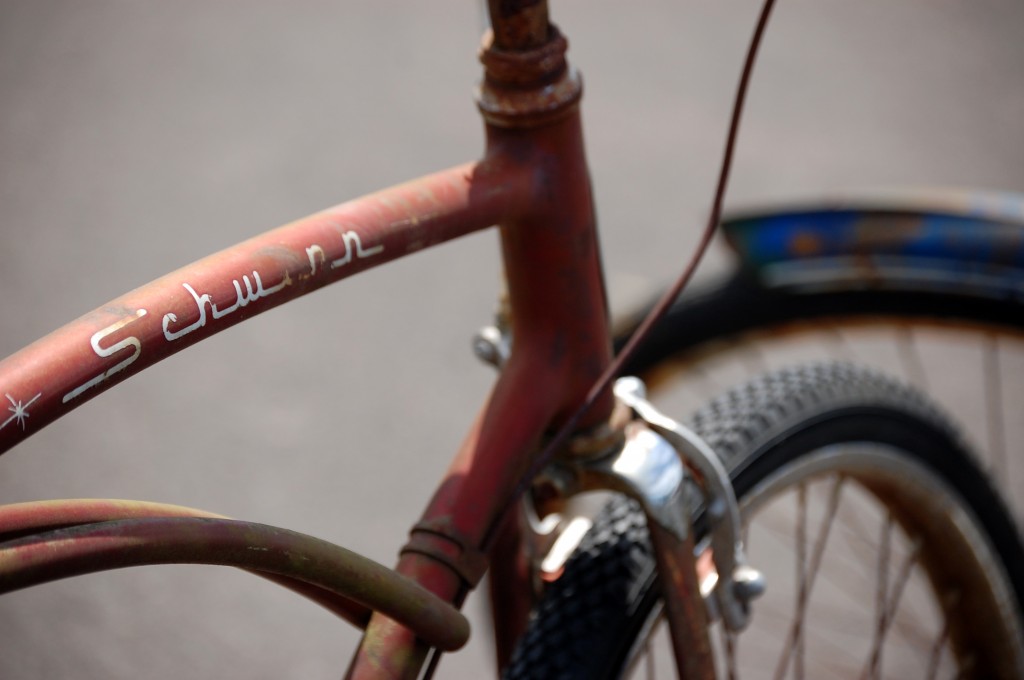 Nicole M Miller photography