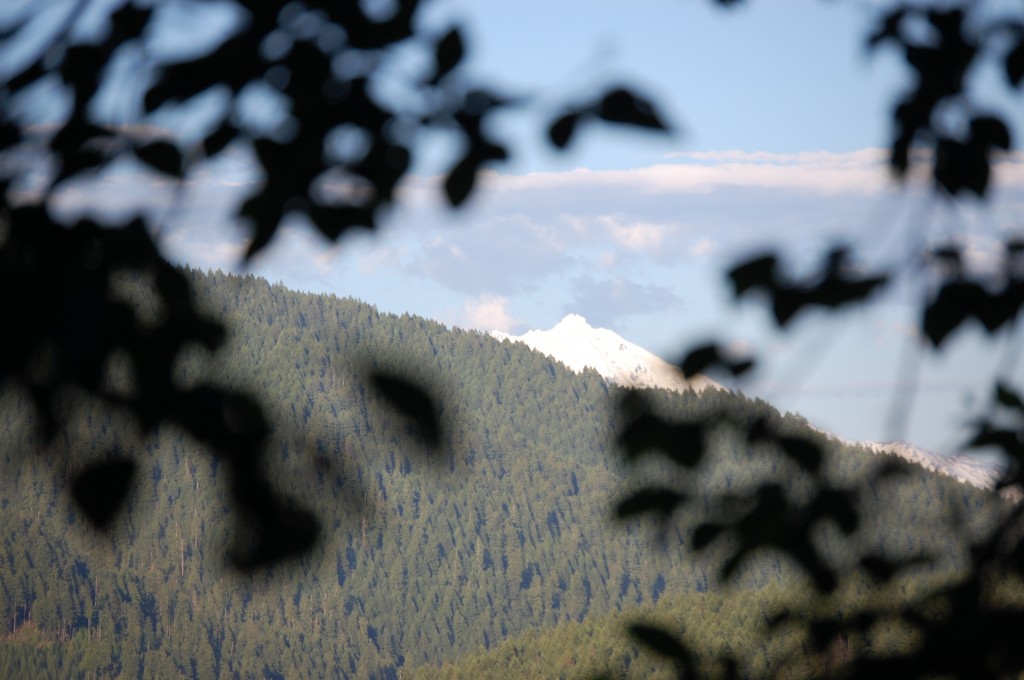 Nicole M. Miller Photography