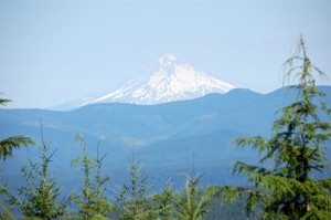 Nicole M Miller photography