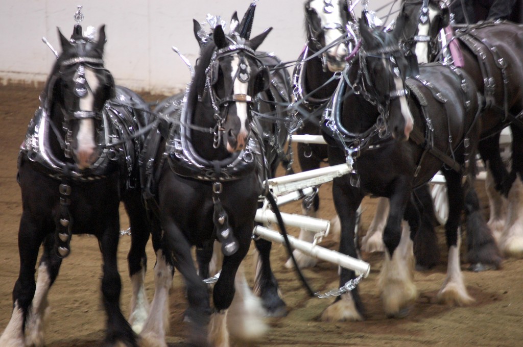 Nicole M Miller Photography