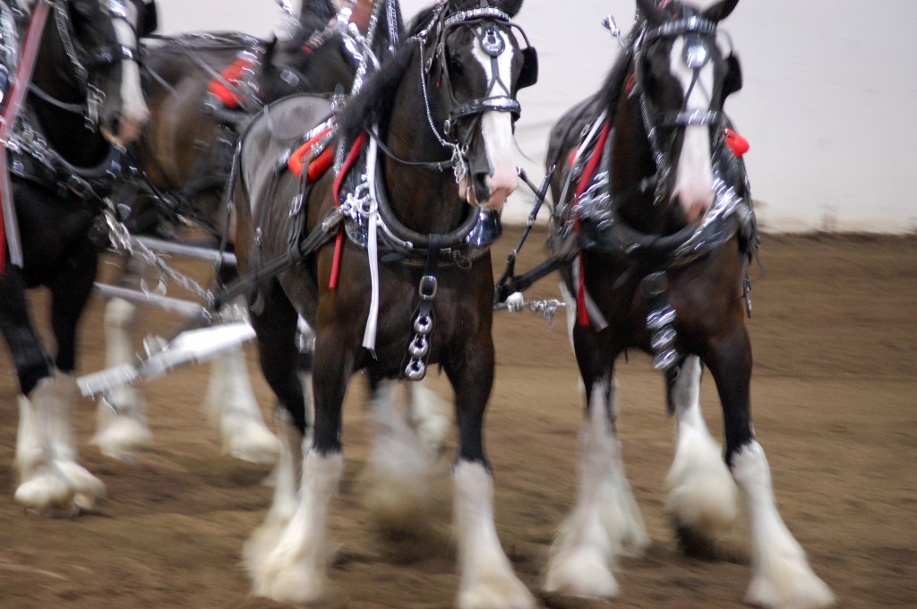 Nicole M Miller Photography