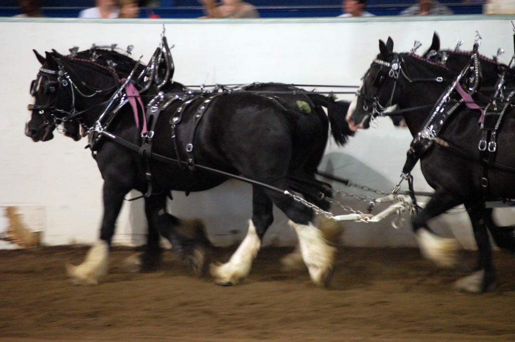 Nicole M Miller Photography