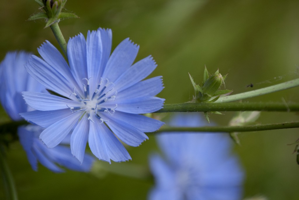 Nicole M Miller author