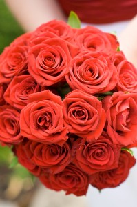 Nicole M Miller author