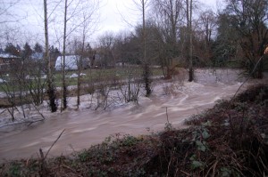 Flood Oregon 
