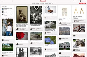 pinterest, nicole m miller