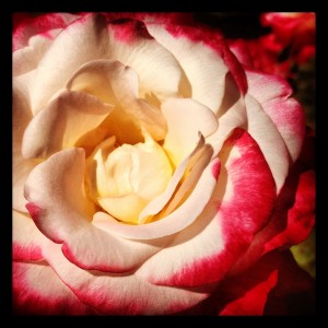 Getting real about who you are.