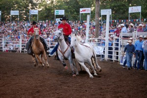 rodeo photography 5 Nicole M Miller