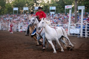 rodeo photography 6 Nicole M Miller