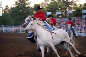 rodeo photography 7 Nicole M Miller
