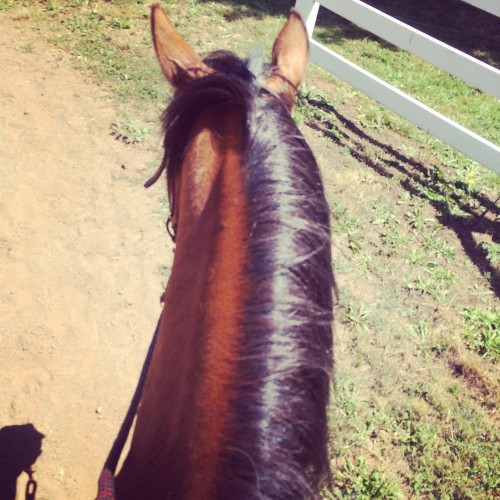 2014-07-31 12.54.33-1