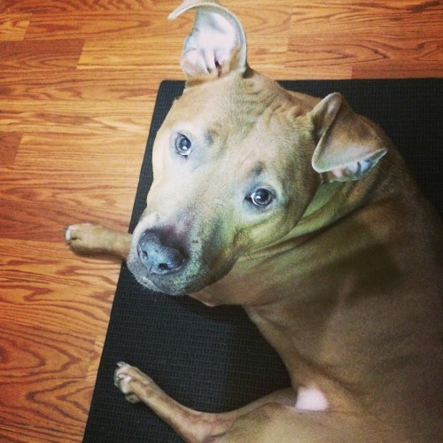 2014-07-31 14.51.13-2