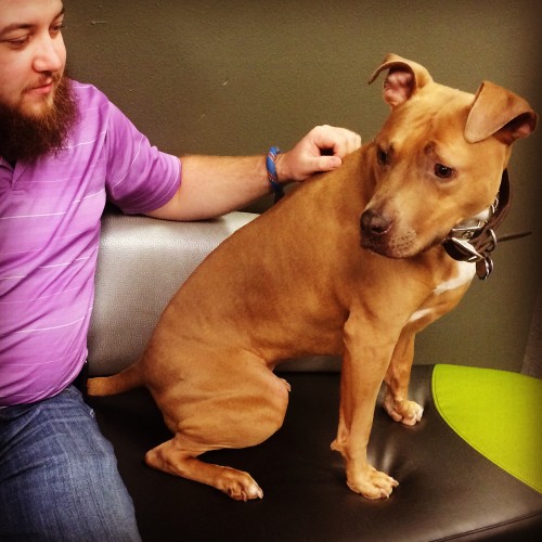 2014-09-22 07.56.10-1