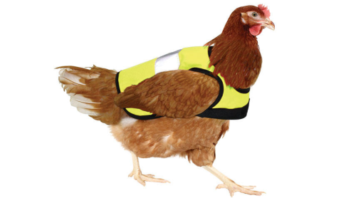 Screen Shot 2014-12-15 at 7.43.48 PM